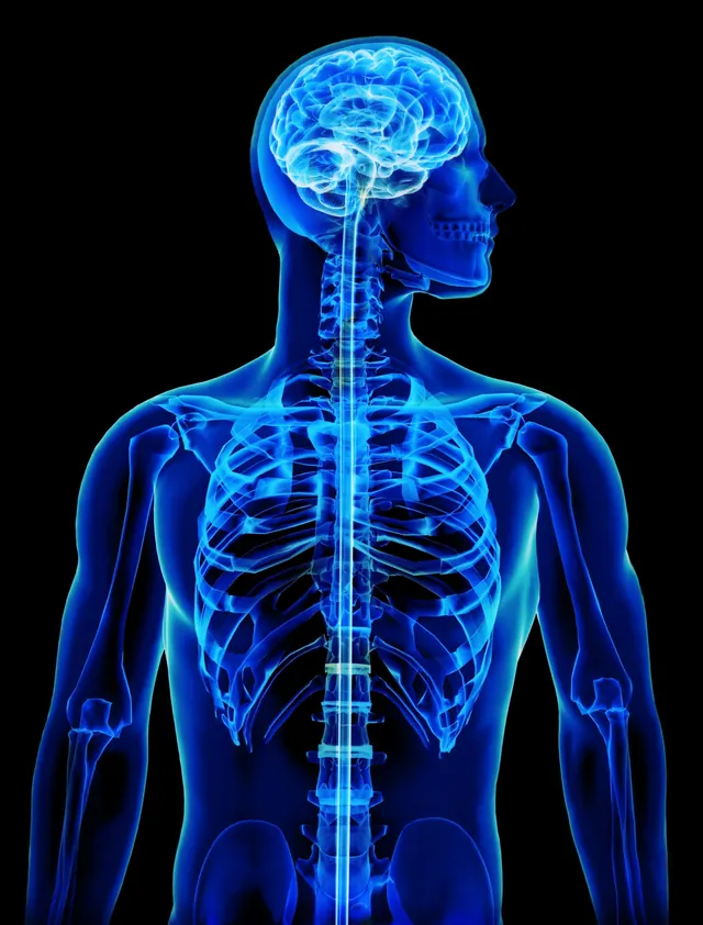 Neurological Disorders